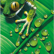 Wasser-Leben Cigler.jpg